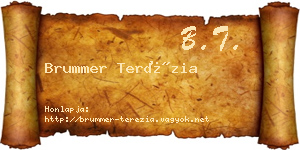 Brummer Terézia névjegykártya